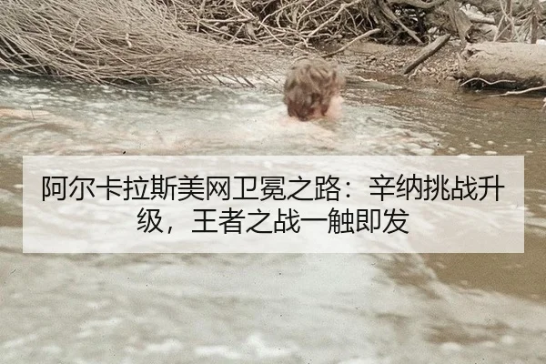 a-er-ka-la-si-mei-wang-wei-mian-zhi-lu-xin-na-tiao-zhan-sheng-ji-wang-zhe-zhi-zhan-yi-chu-ji-fa-2-290.jpg