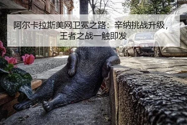 a-er-ka-la-si-mei-wang-wei-mian-zhi-lu-xin-na-tiao-zhan-sheng-ji-wang-zhe-zhi-zhan-yi-chu-ji-fa-3-519.jpg