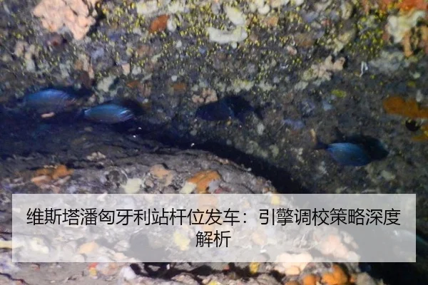 维斯塔潘匈牙利站杆位发车：引擎调校策略深度解析