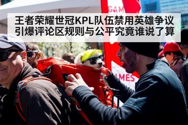 王者荣耀世冠KPL队伍禁用英雄争议引爆评论区规则与公平究竟谁说了算