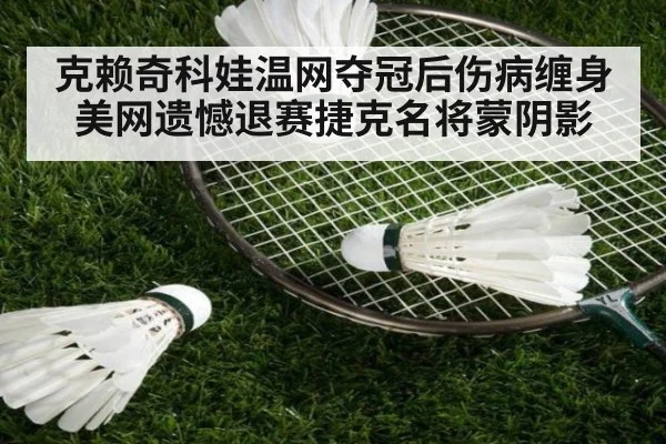克赖奇科娃温网夺冠后伤病缠身 美网遗憾退赛捷克名将蒙阴影